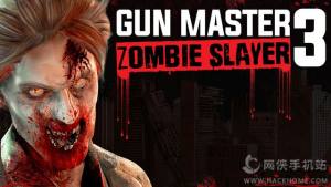 Gun Master 3 Zombie SlayerD5