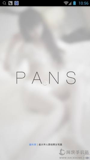 PANS appD1