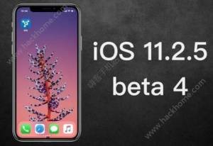 iOS11.2.5ʽʲNriOS11.2.5ʽ͕rgDƬ1