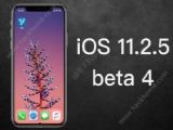 iOS11.2.5ʽʲNriOS11.2.5ʽ͕rg