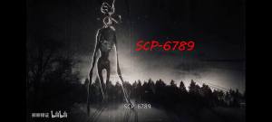 SCPֲ[D1