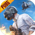 pubg mobile2021ˢUCİ