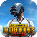 PUBG MOBILE׃